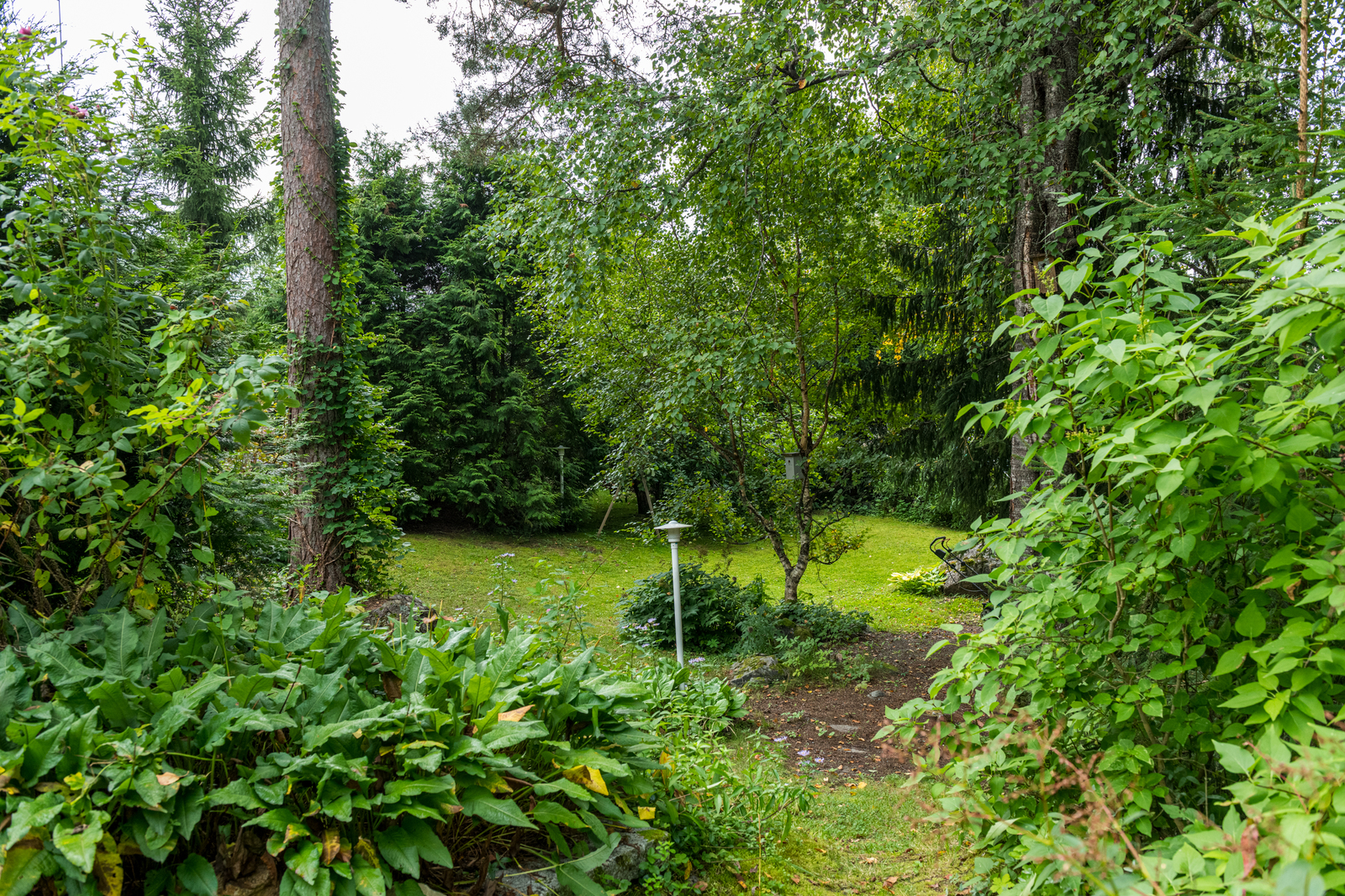 Ahonperäntie 3 - image 39