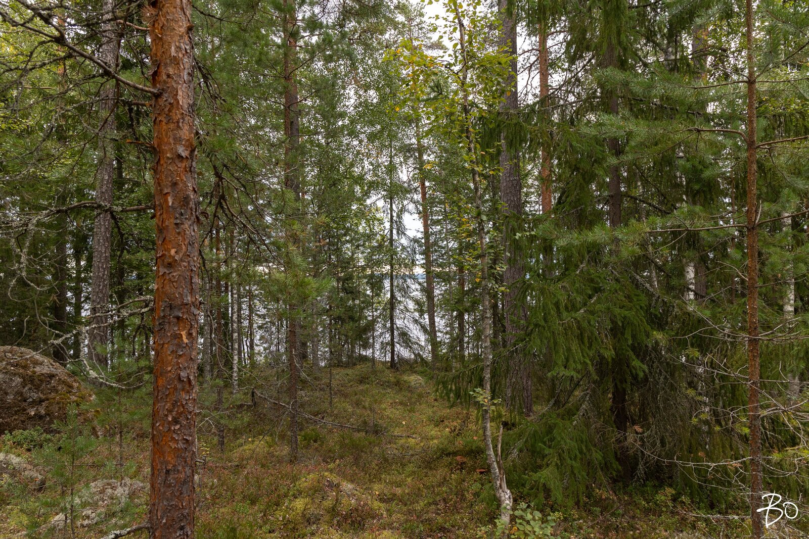 Pyhänpääntie A  - kuva 11