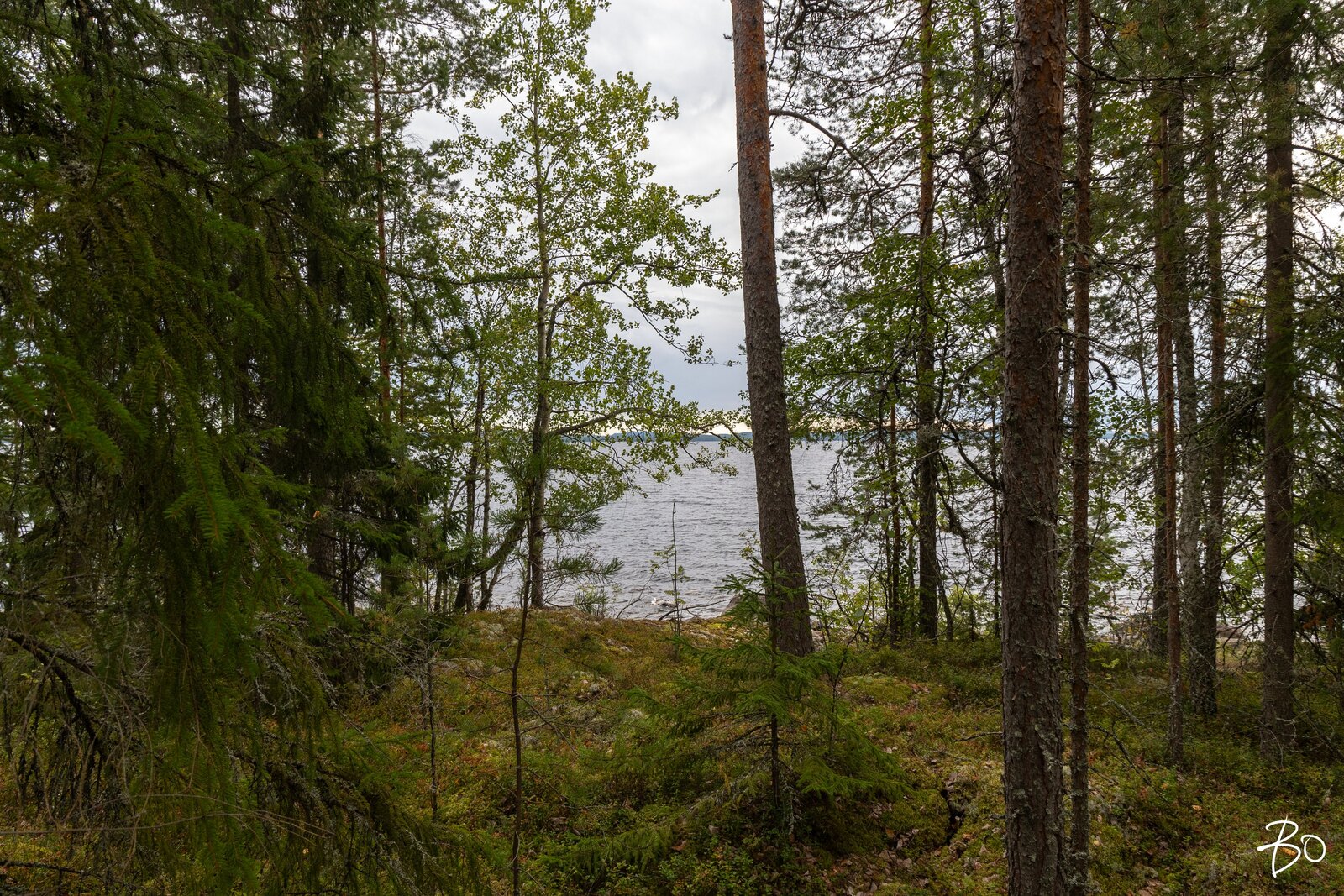 Pyhänpääntie A  - kuva 9