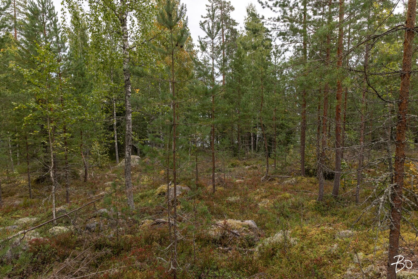 Pyhänpääntie B  - kuva 9