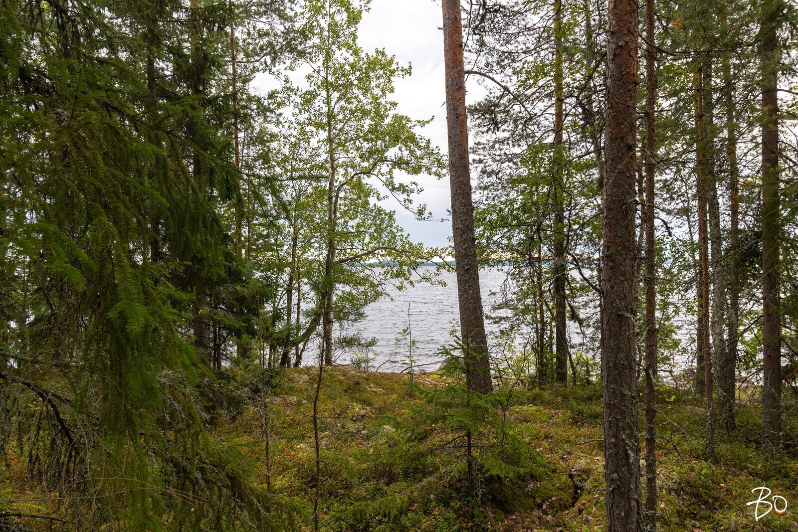 Pyhänpääntie B  - kuva 12