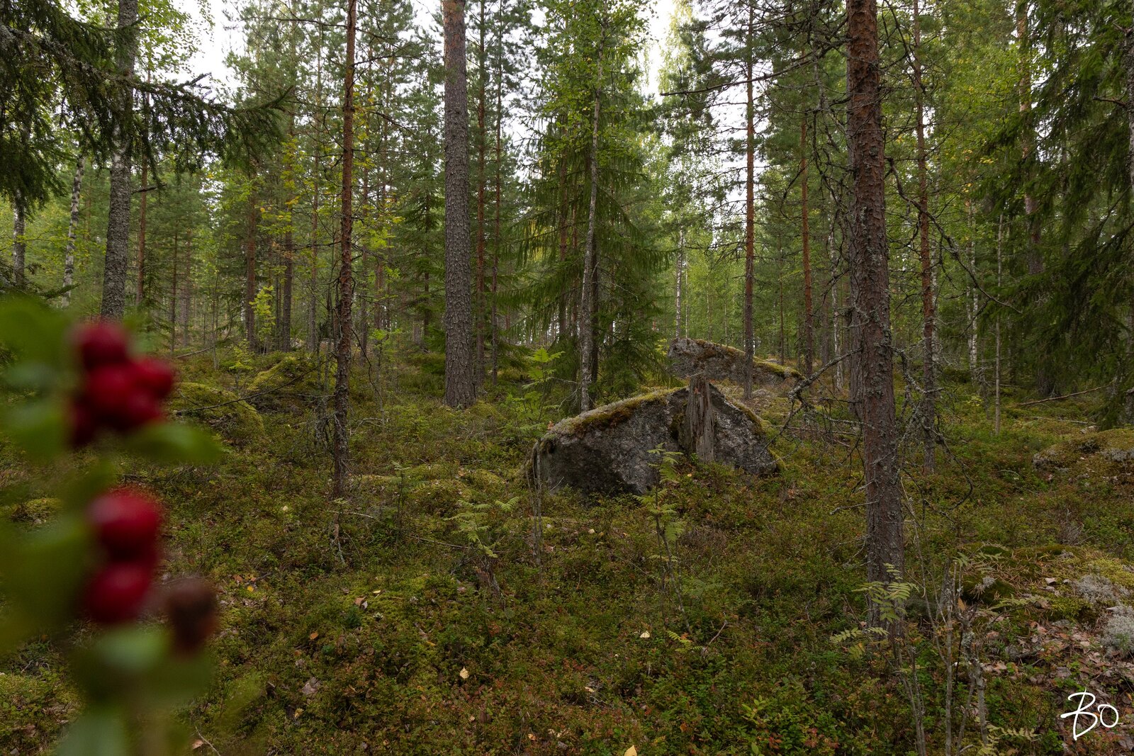 Pyhänpääntie B  - kuva 11