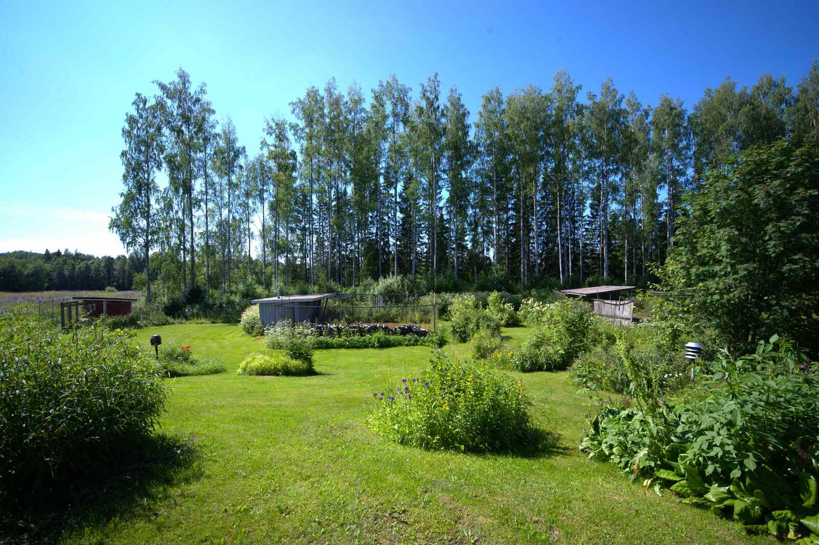 Real Estate Image