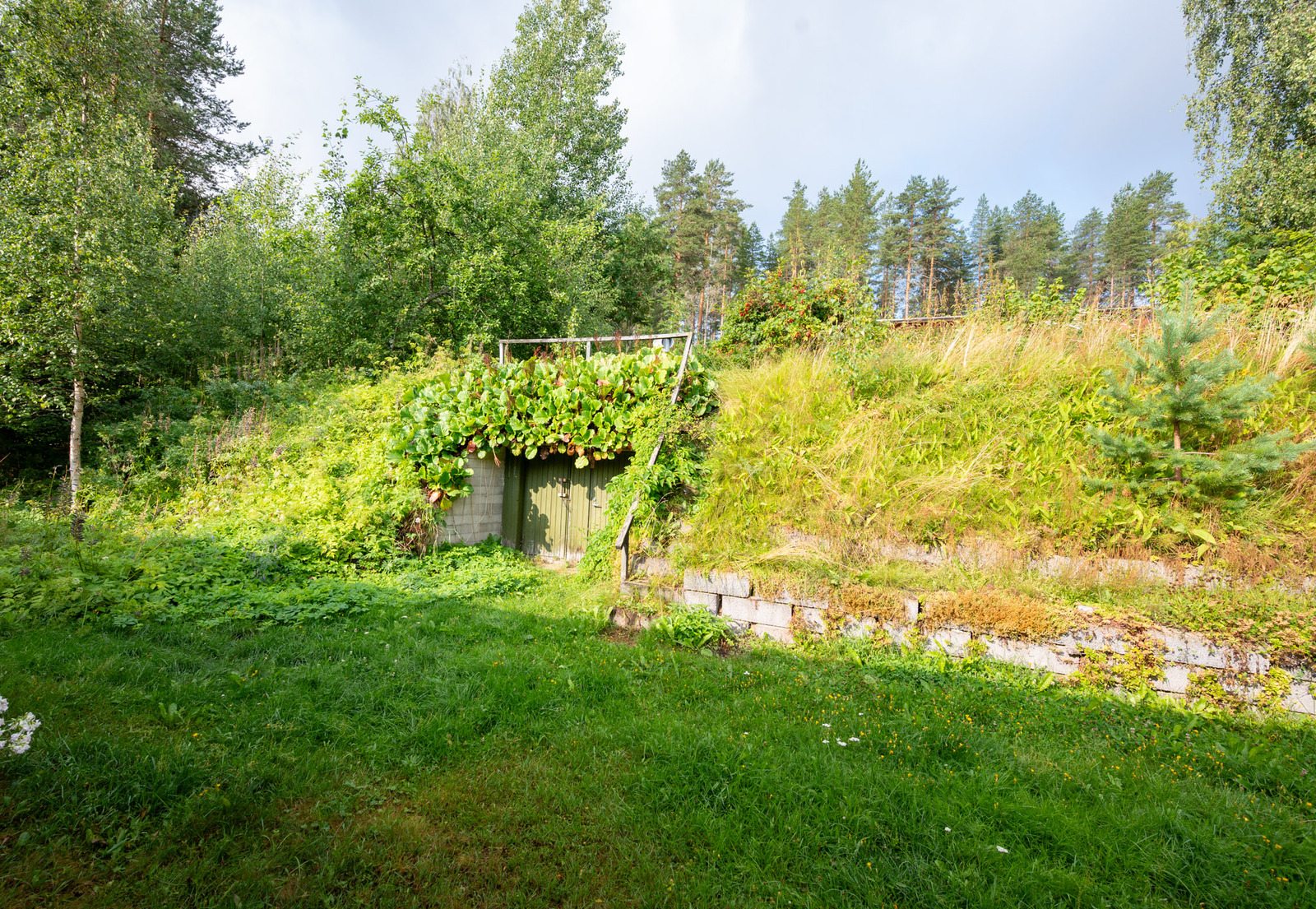 Real Estate Image