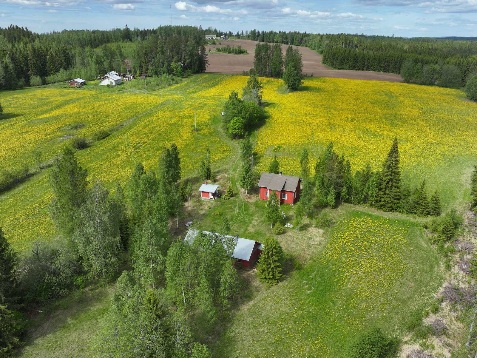 Real Estate Image