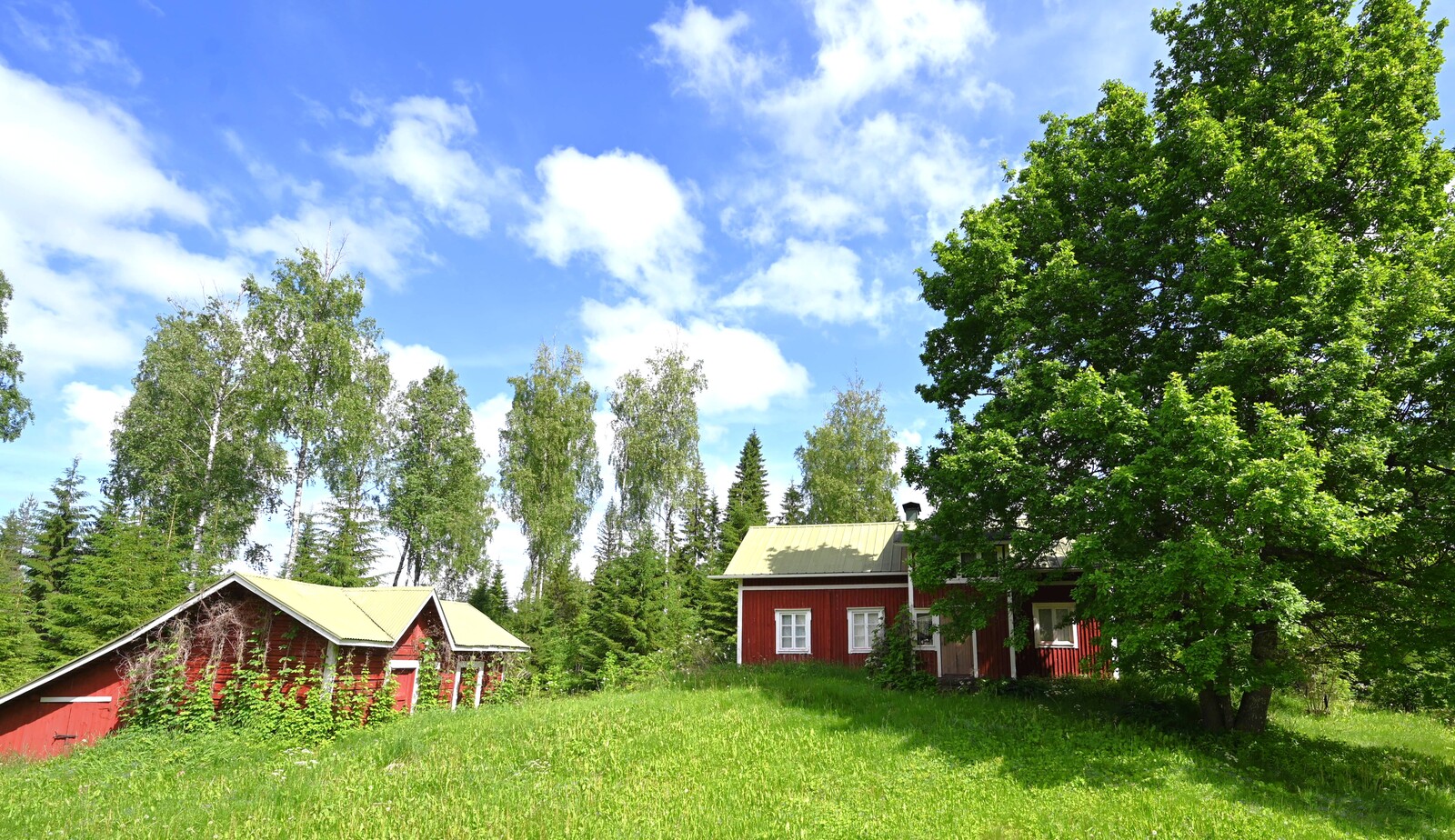 Real Estate Image