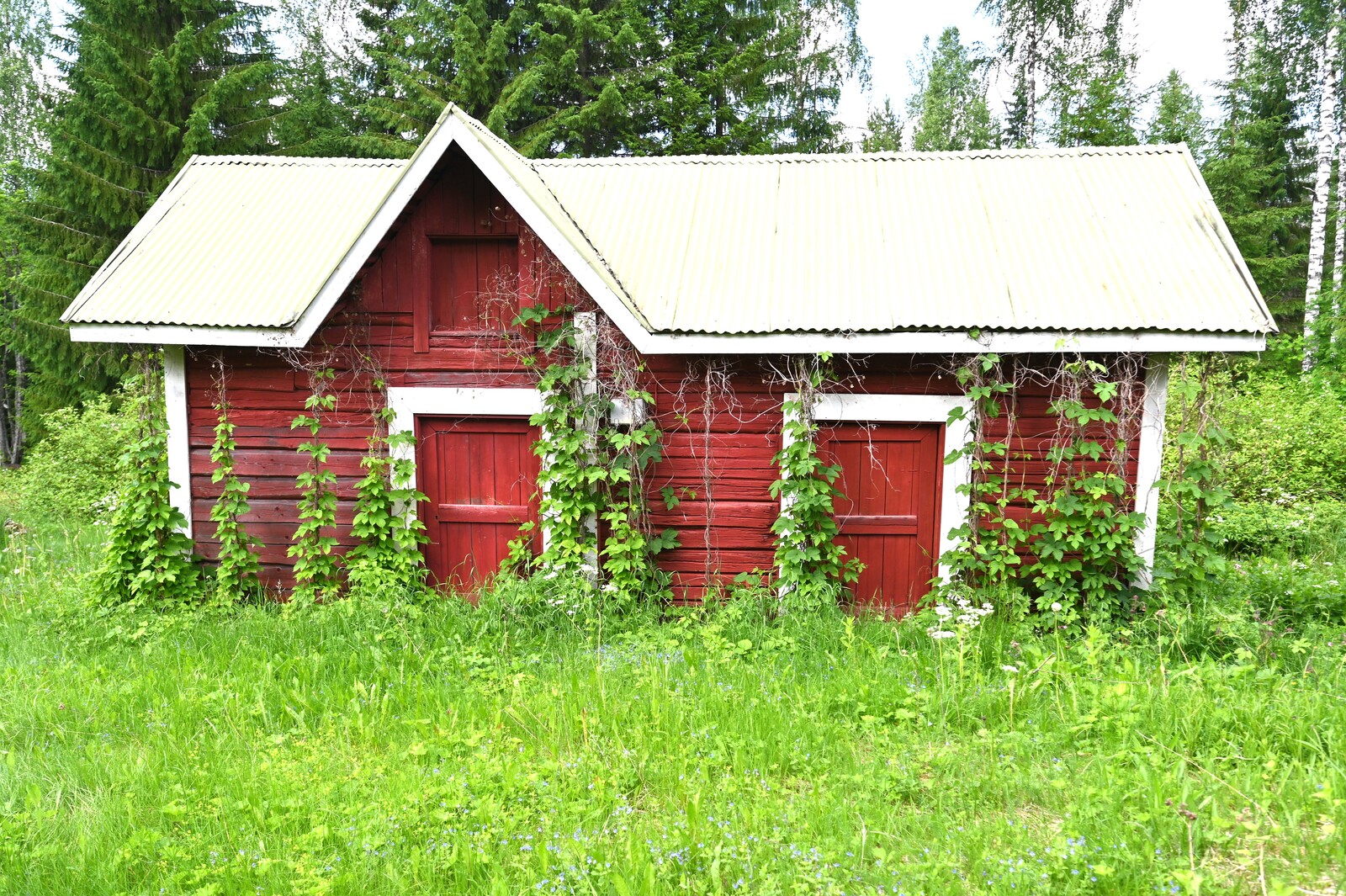Real Estate Image