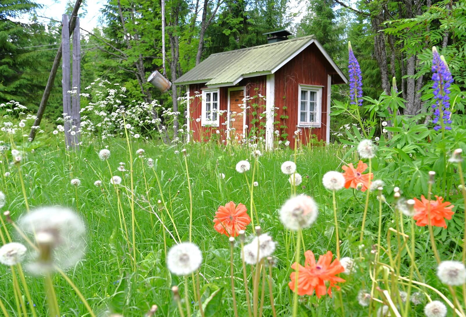 Real Estate Image