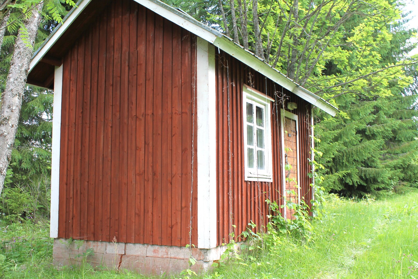 Real Estate Image
