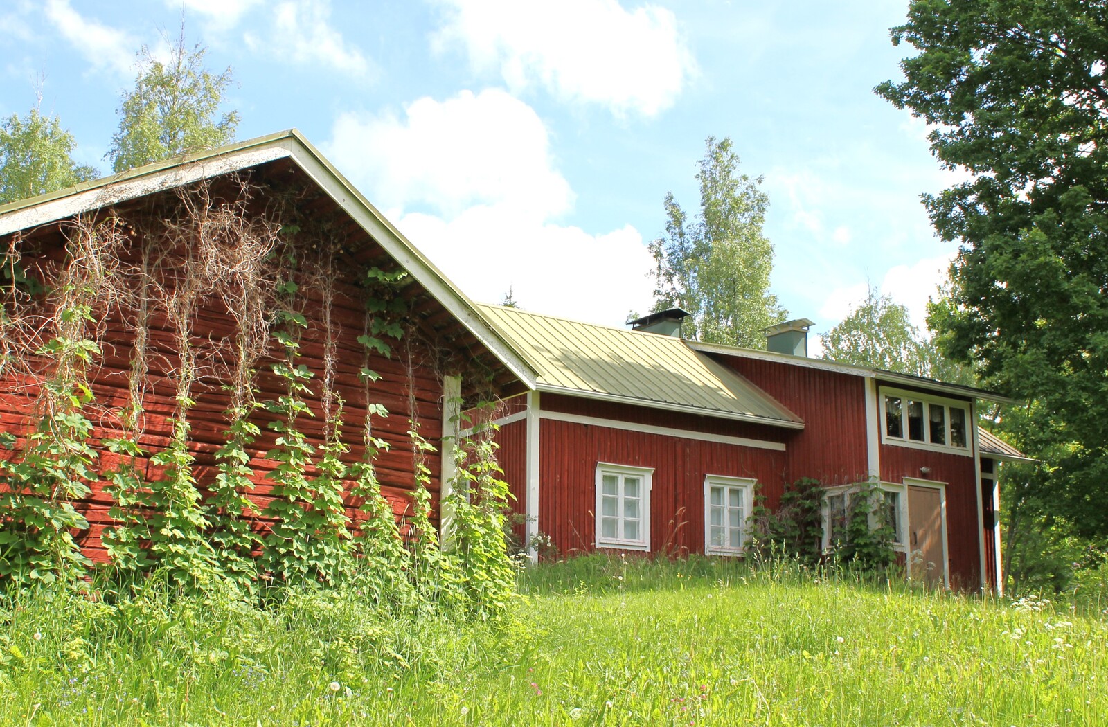 Real Estate Image