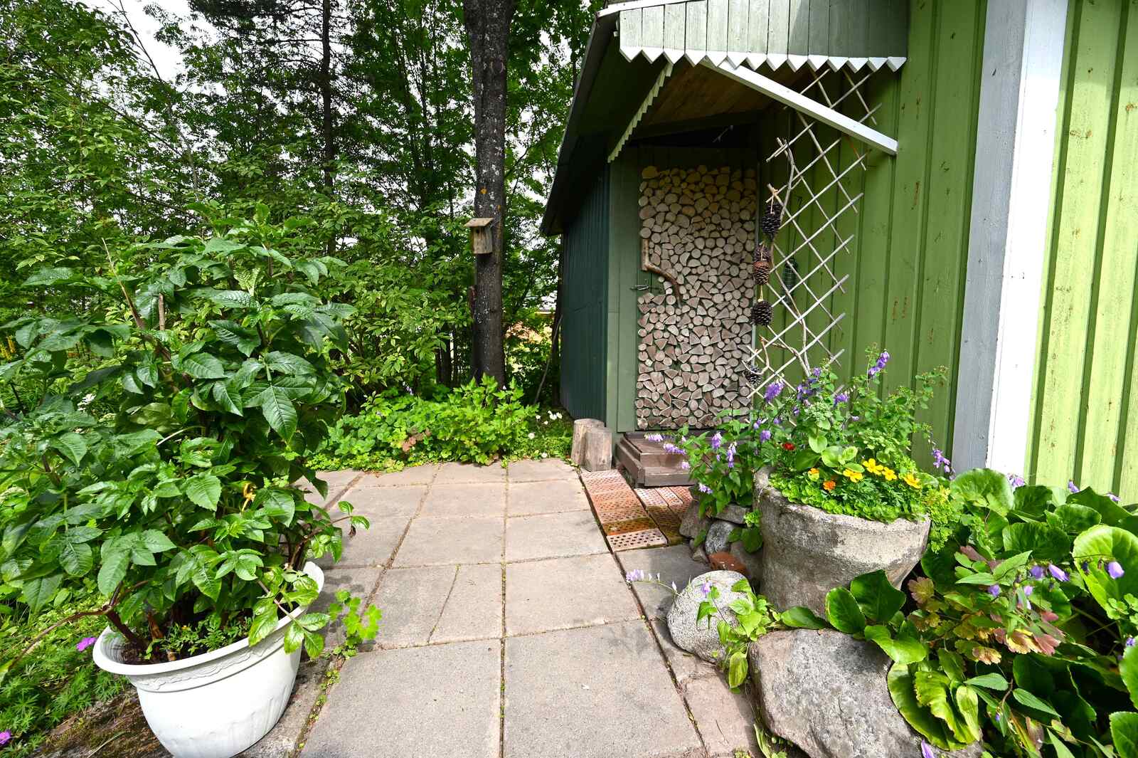 Real Estate Image
