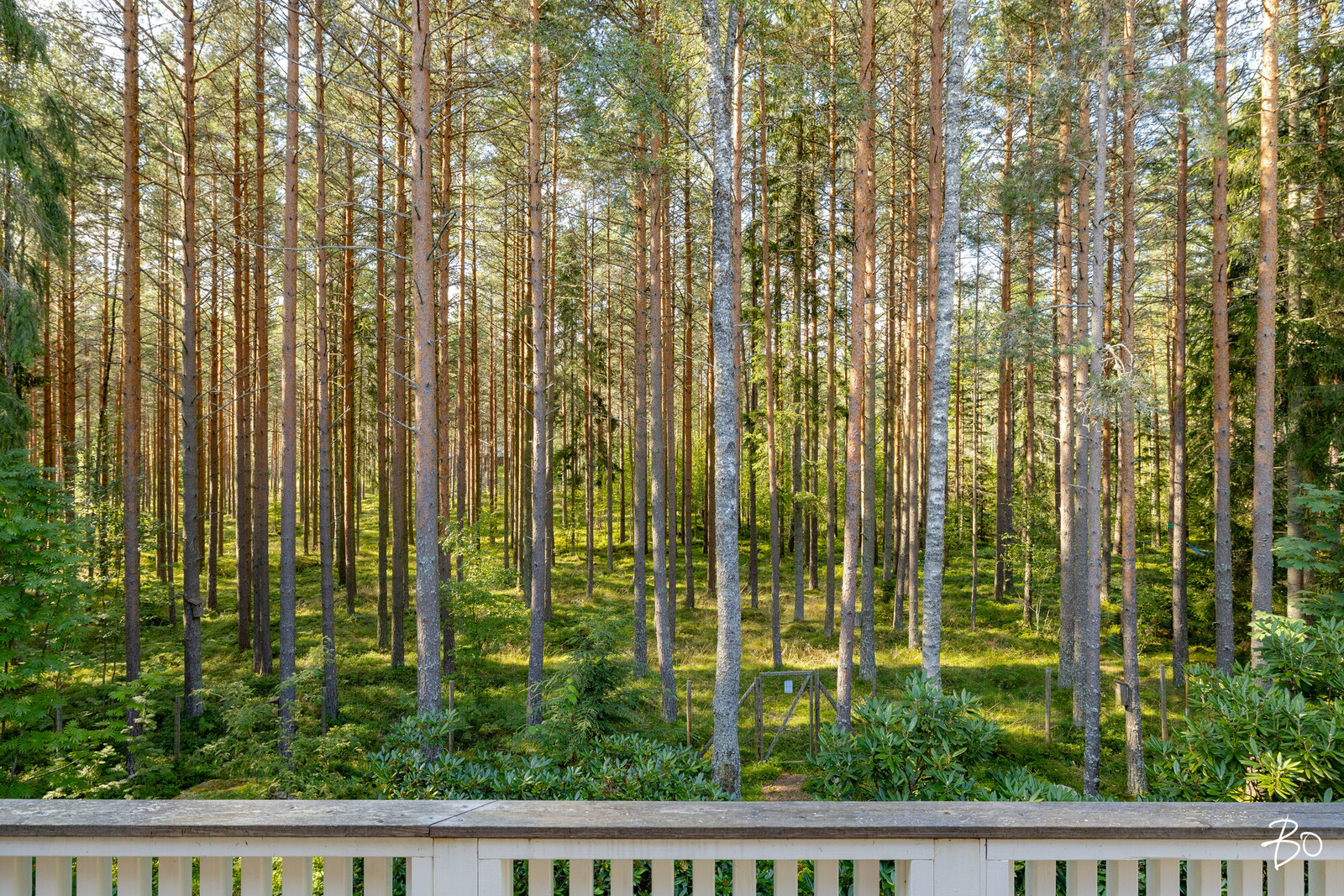 Stenkalvintie 208 B - image 22