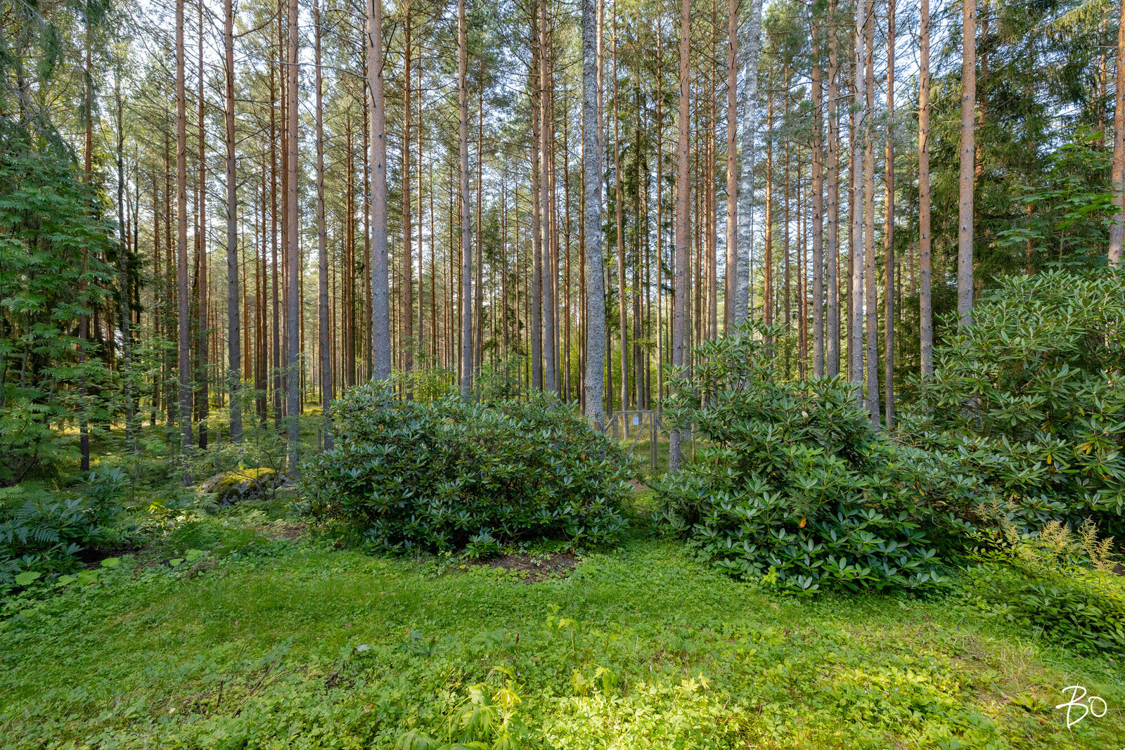 Stenkalvintie 208 B - image 33