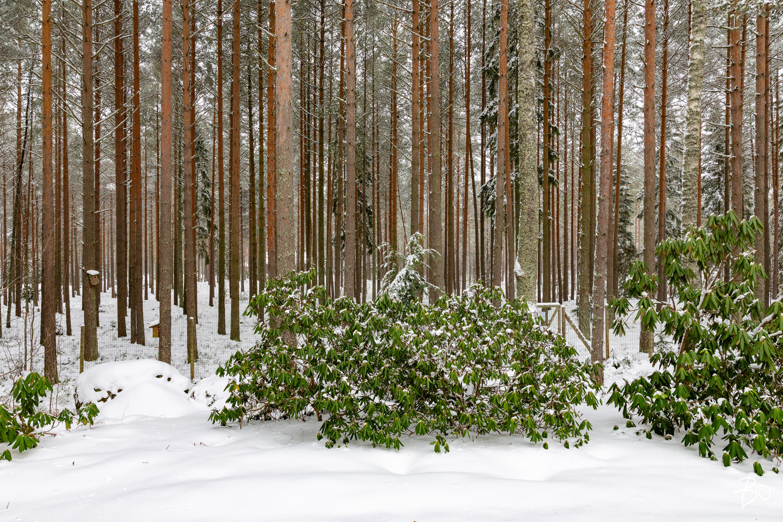 Stenkalvintie 208 B - kuva 34