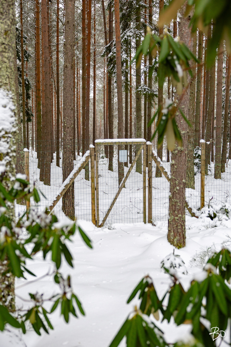 Stenkalvintie 208 B - kuva 35