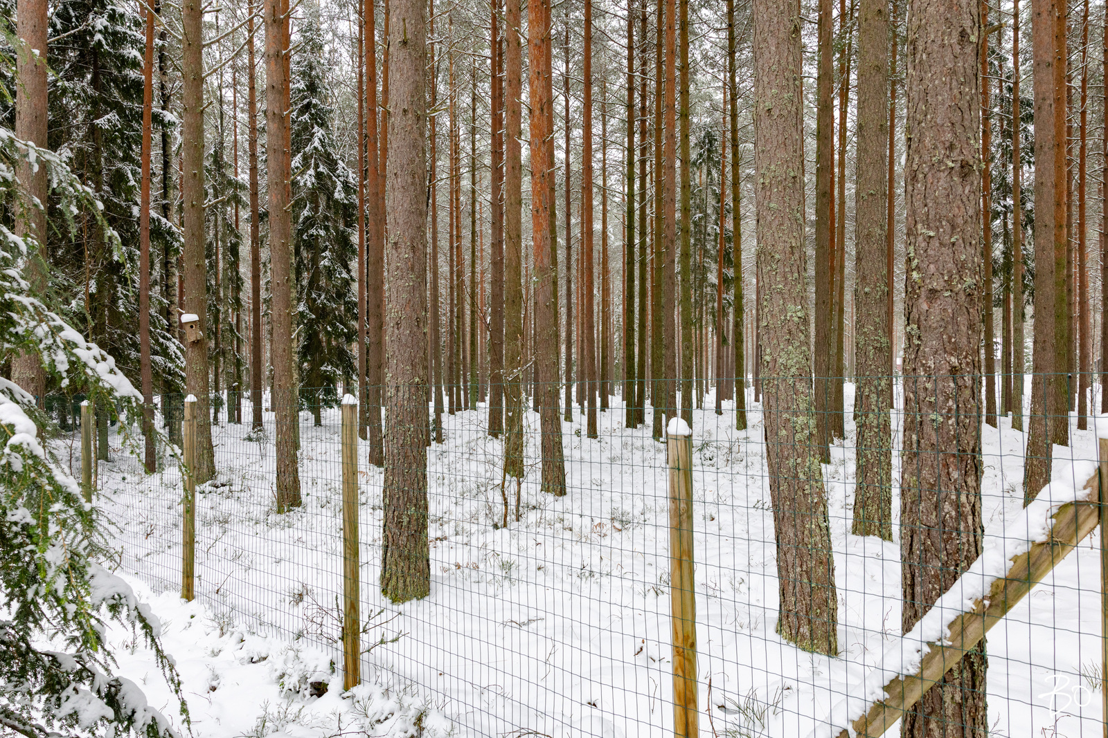 Stenkalvintie 208 B - kuva 36