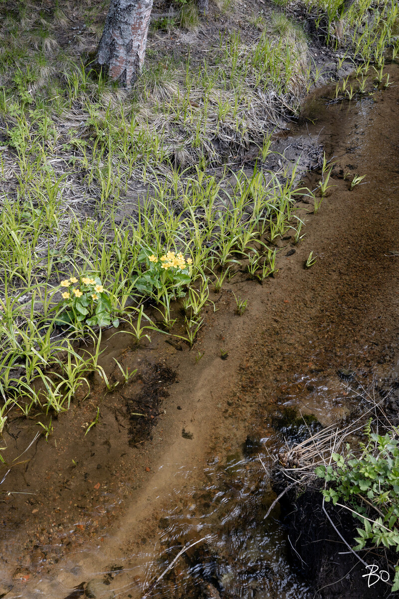 Grönalundintie 167 - kuva 9