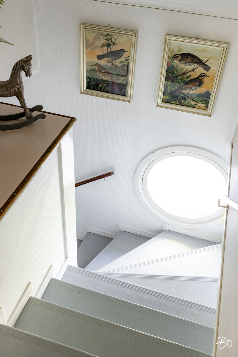 Golfpuisto 1 - kuva 33