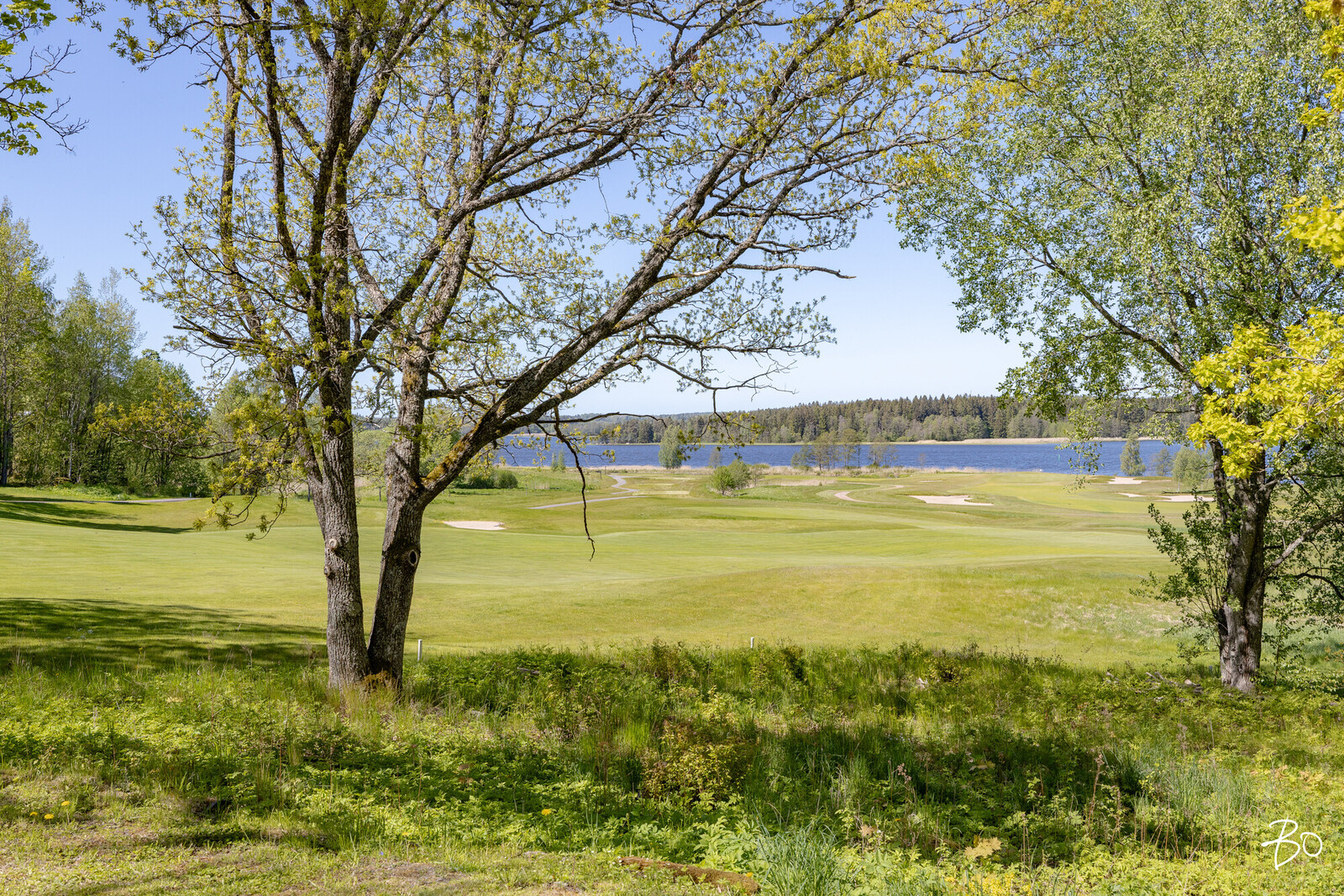 Golfpuisto 1 - kuva 41