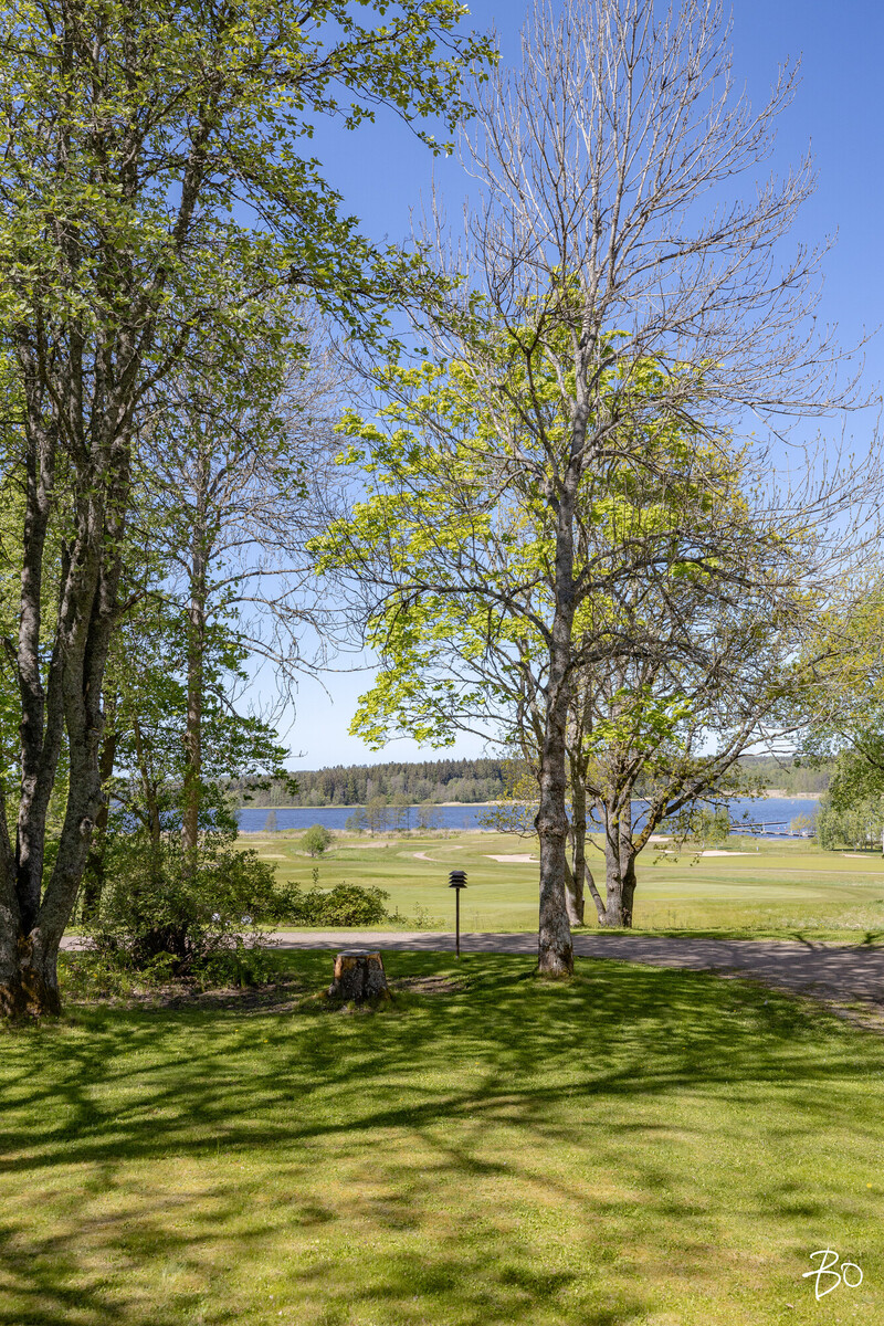 Golfpuisto 1 - kuva 5