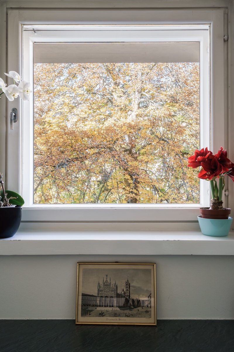 Siltatie 3 - kuva 11