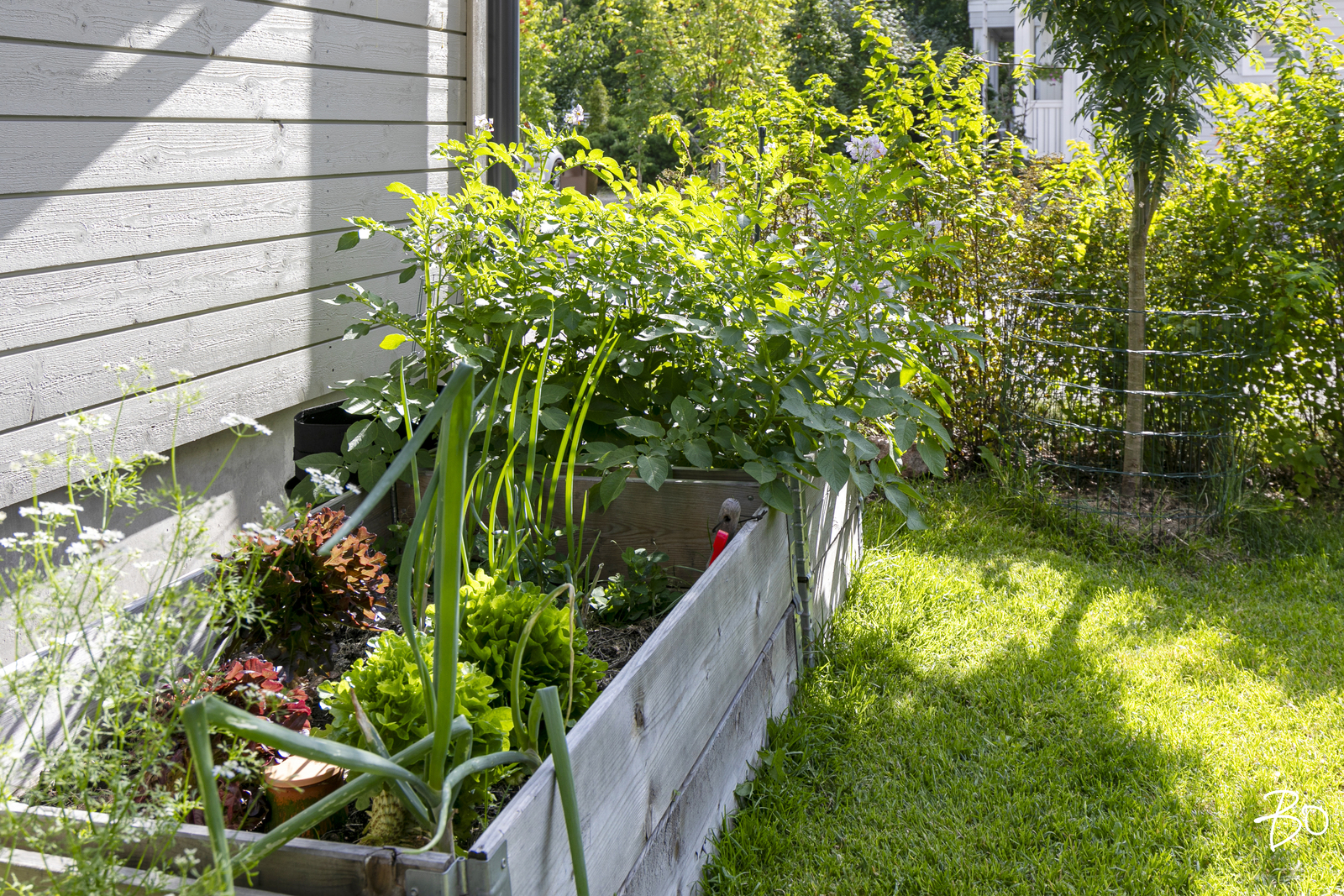 Sotilastorpankuja 1 - kuva 20