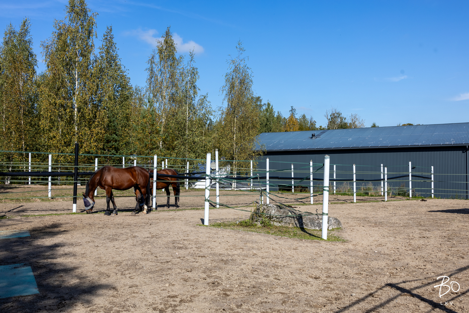 Raiskintie 22 - kuva 6