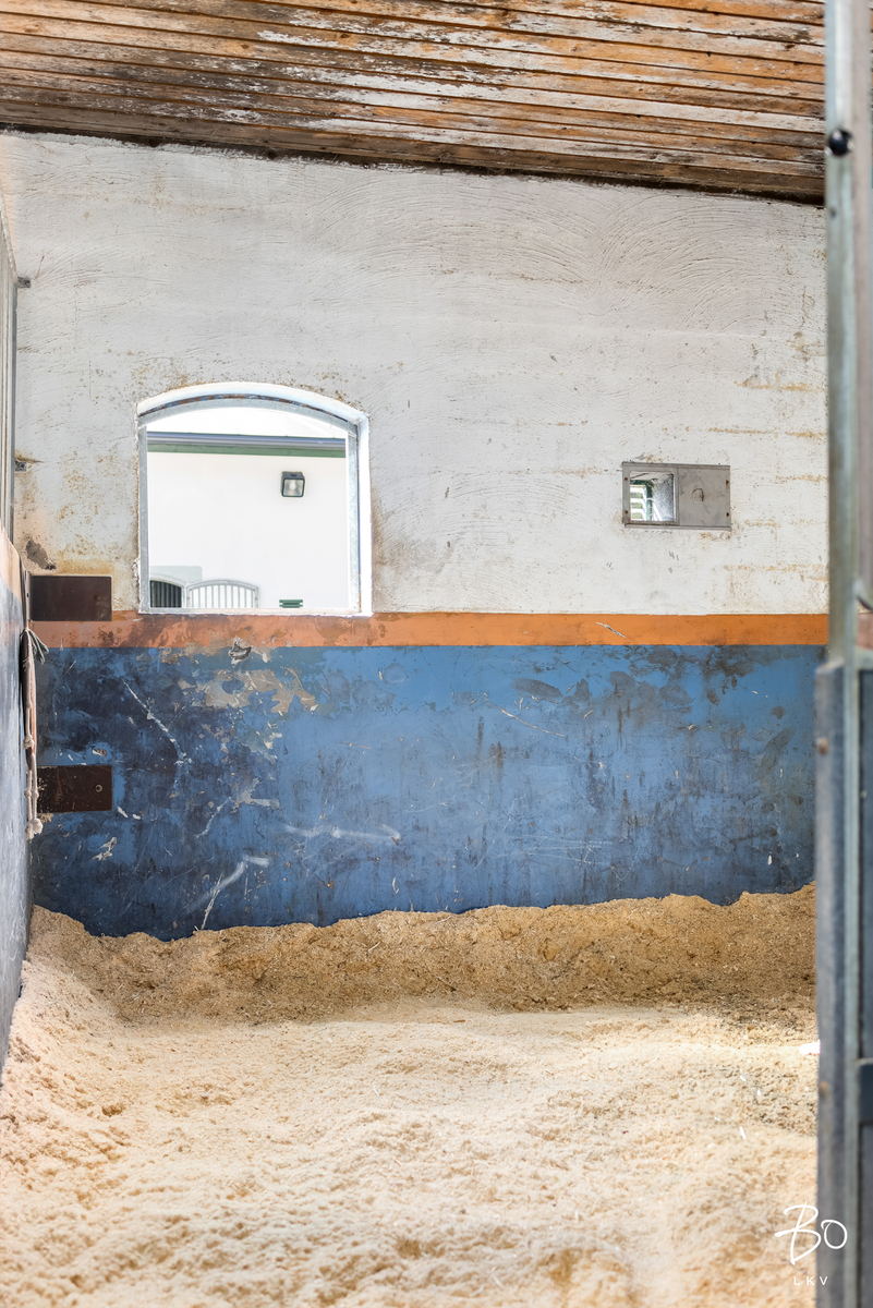 Raiskintie 22 - kuva 13