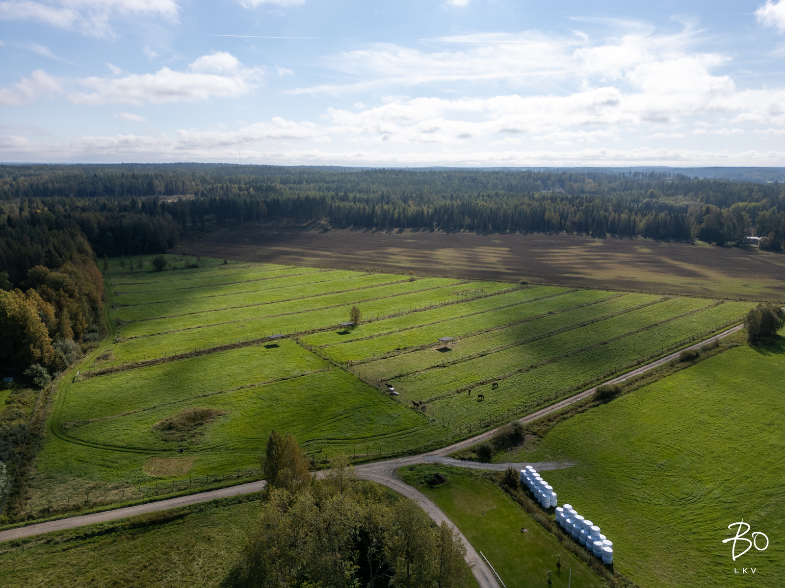 Raiskintie 22 - kuva 28