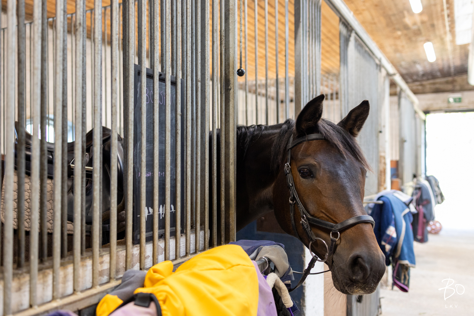 Raiskintie 22 - kuva 31