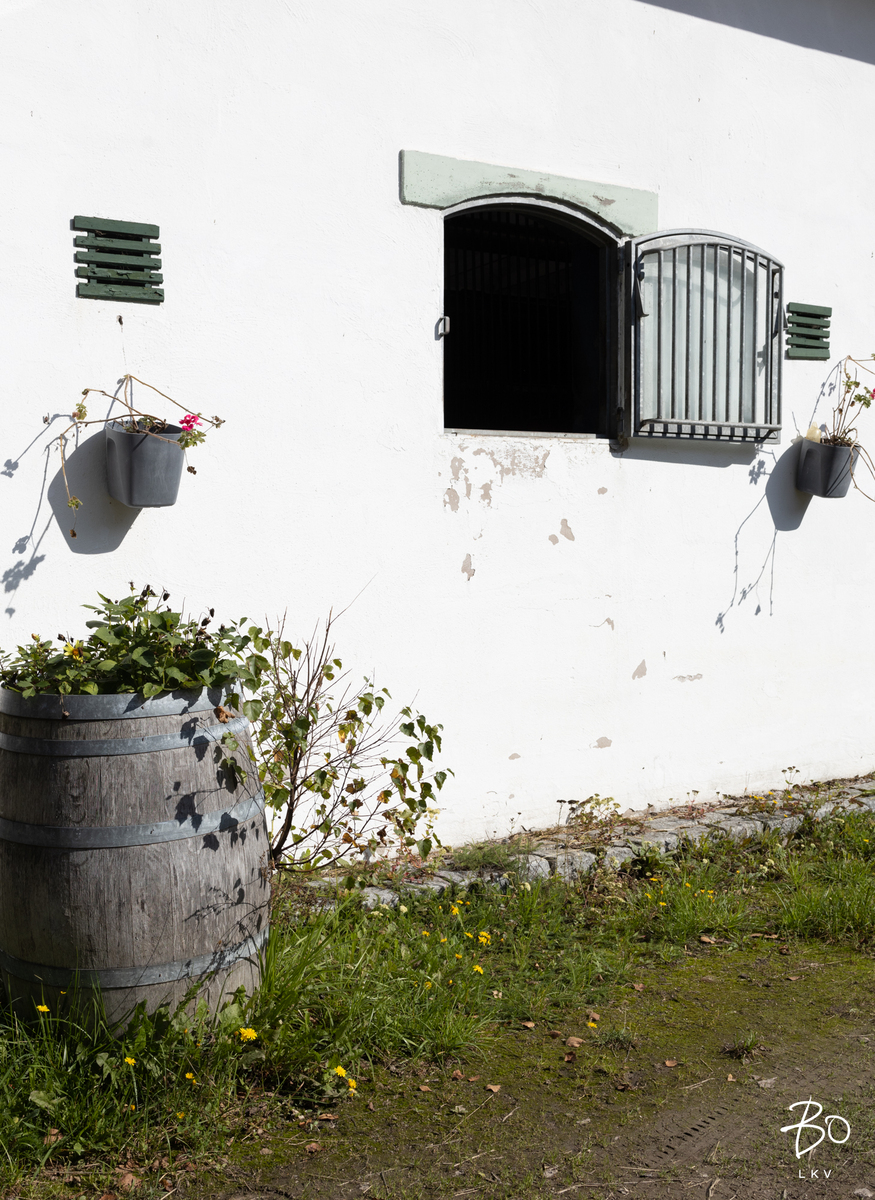 Raiskintie 22 - kuva 30