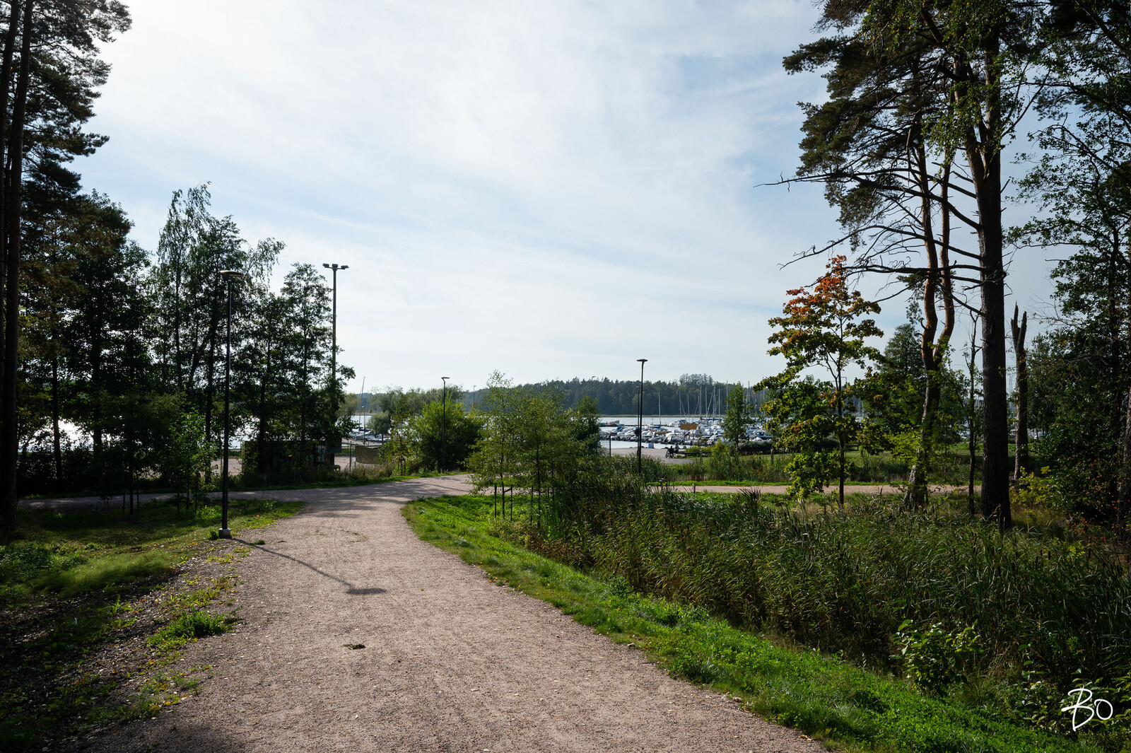 Vilkkupoiju 8 - kuva 29