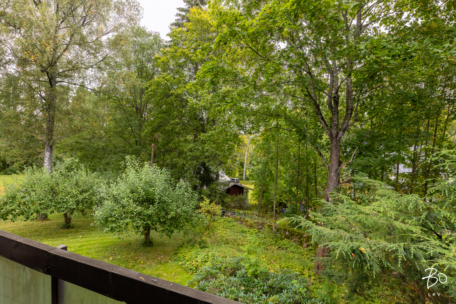 Dosentintie 3 - kuva 28