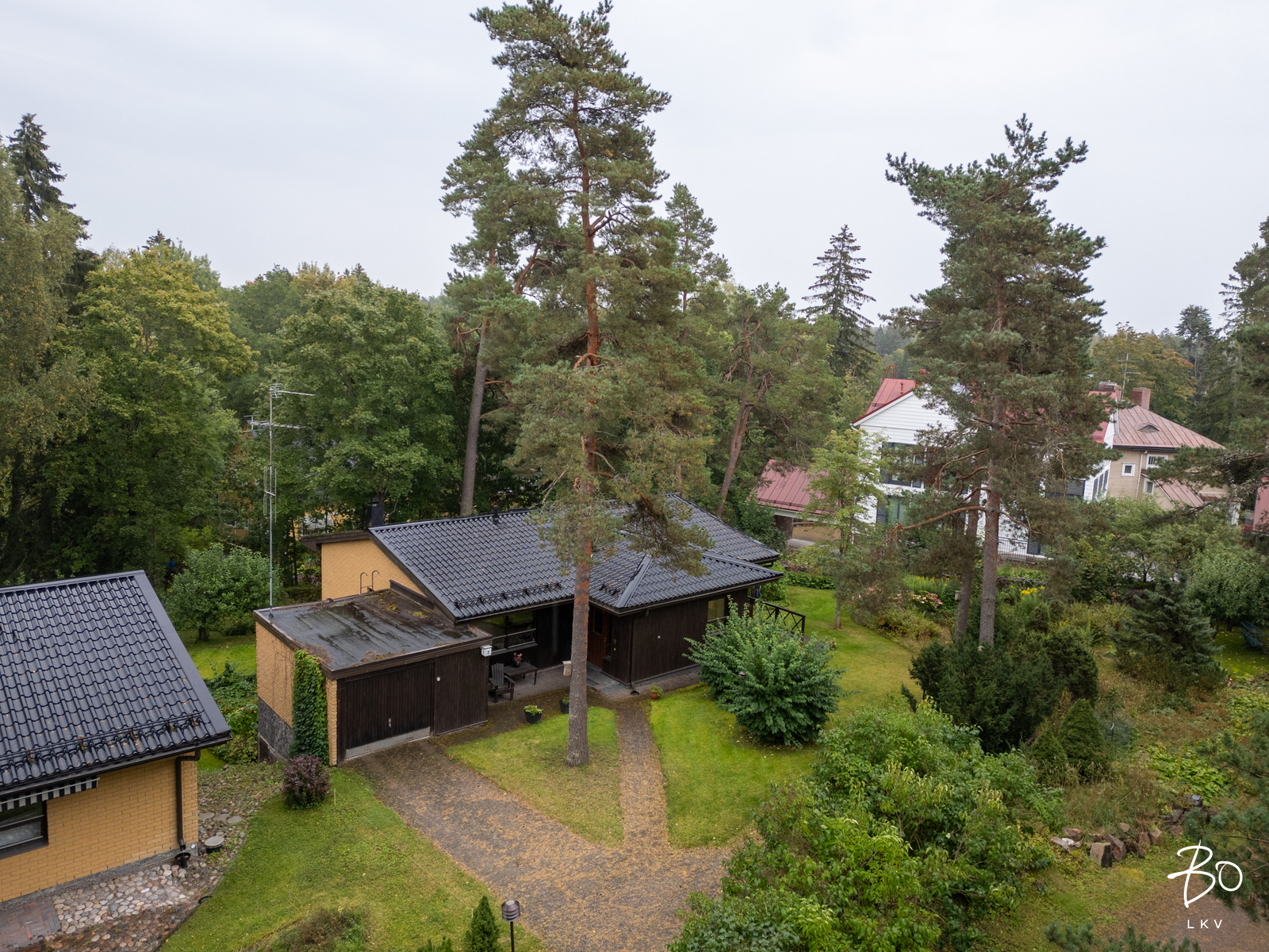 Dosentintie 3 - kuva 36