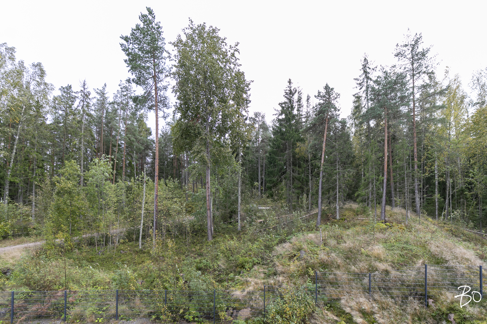 Reelinkikatu 3 - kuva 15