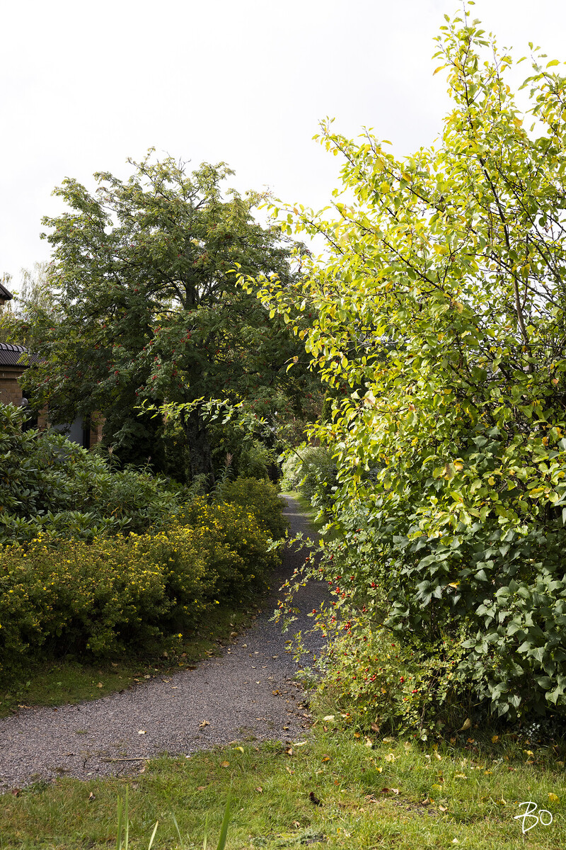 Koronakatu 5 - kuva 13