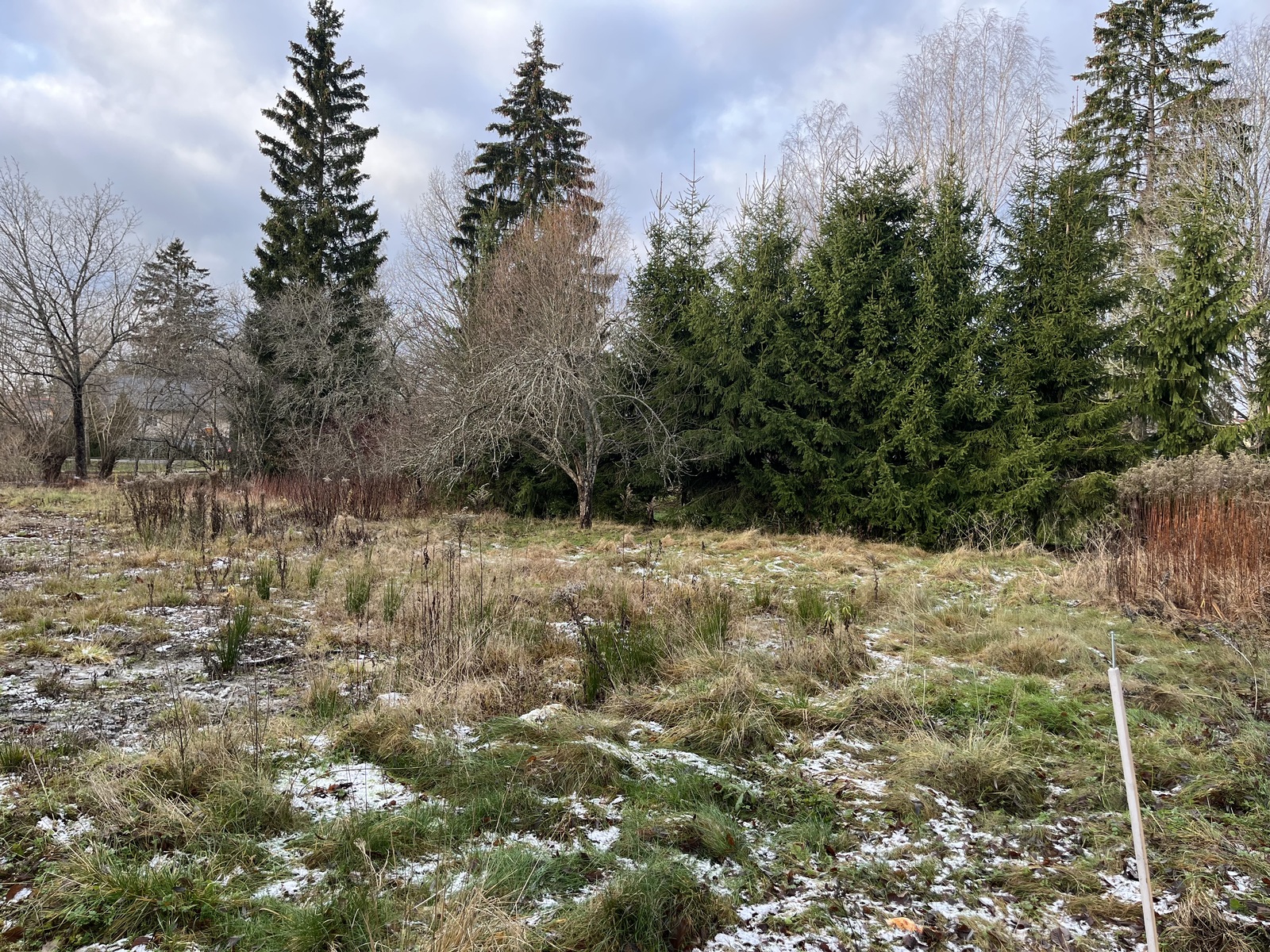 Linnaistentie 15 - kuva 2