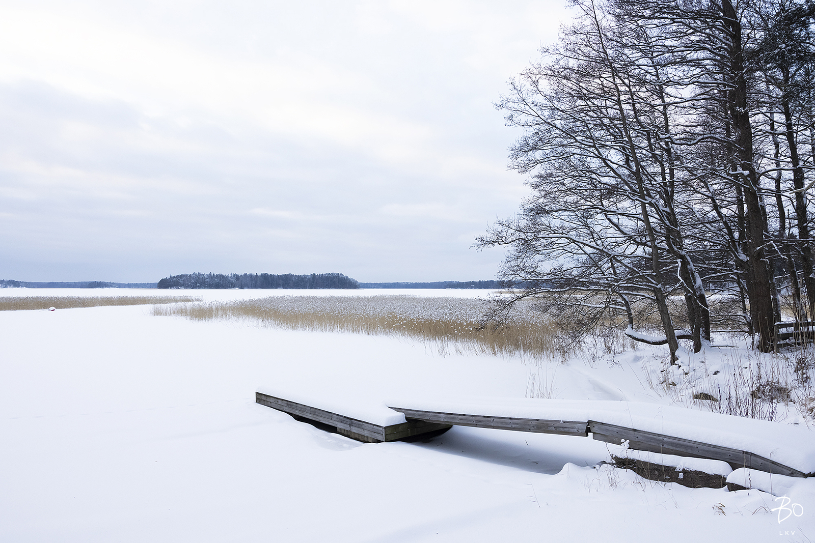 Kartanonpolku 6 - kuva 36