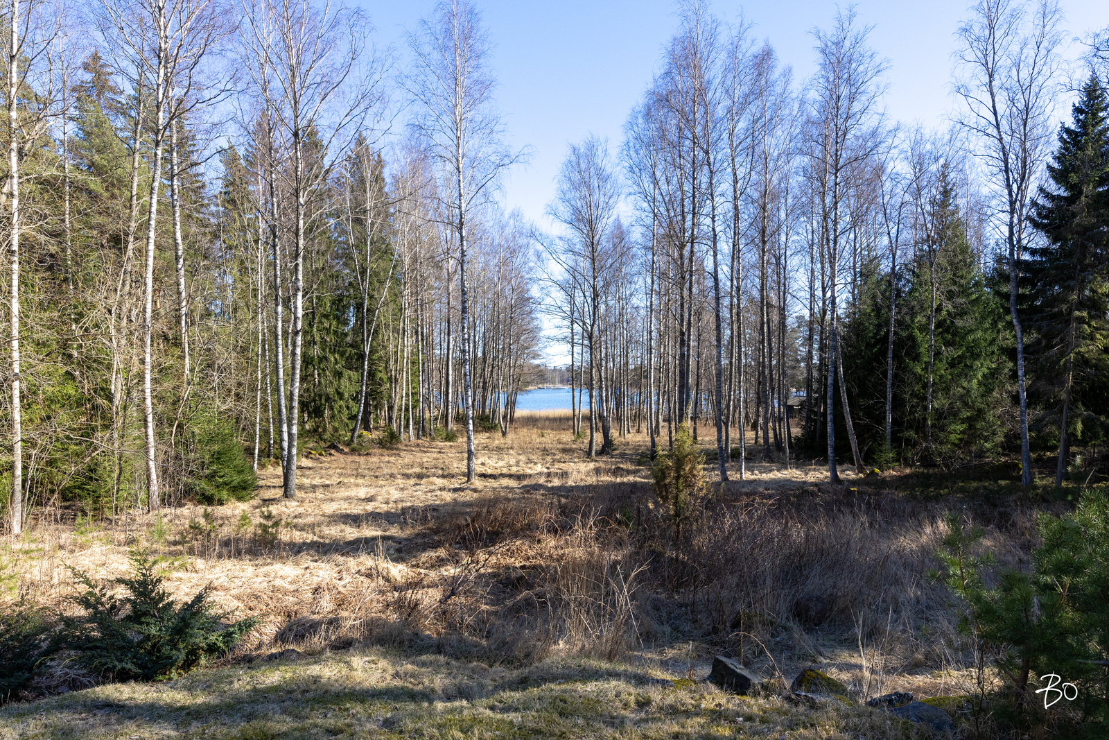 Skatantie 11 - kuva 5