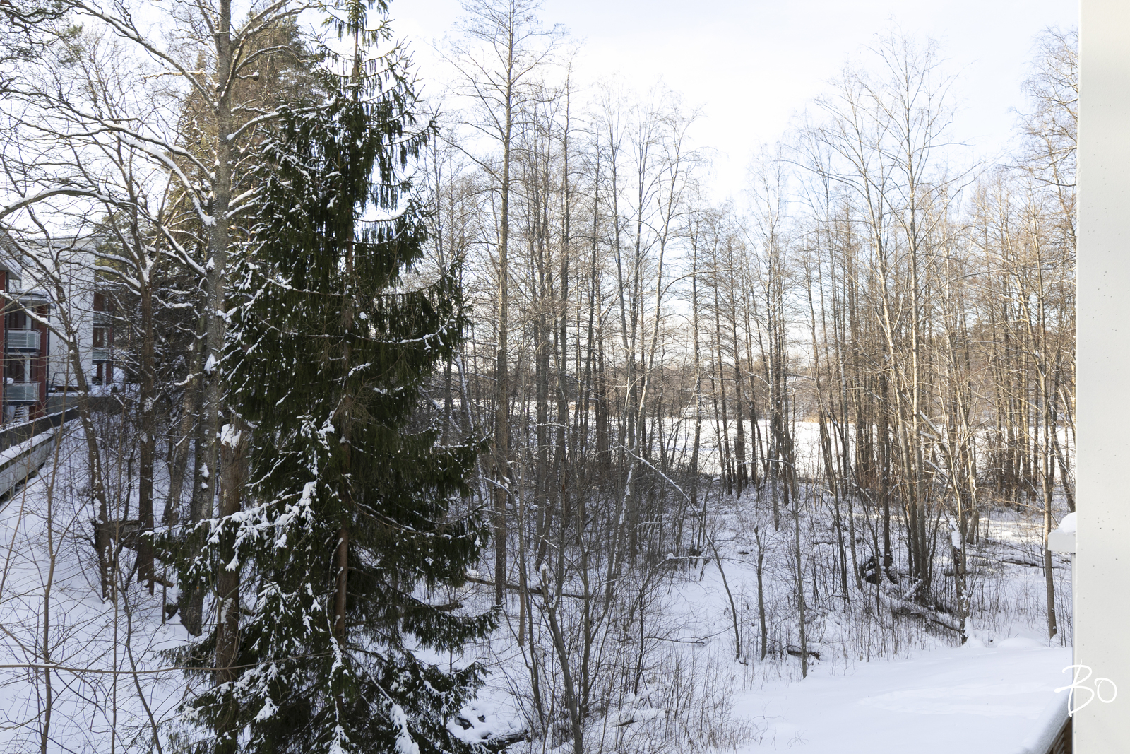 Kuusiniemi 1 - kuva 12