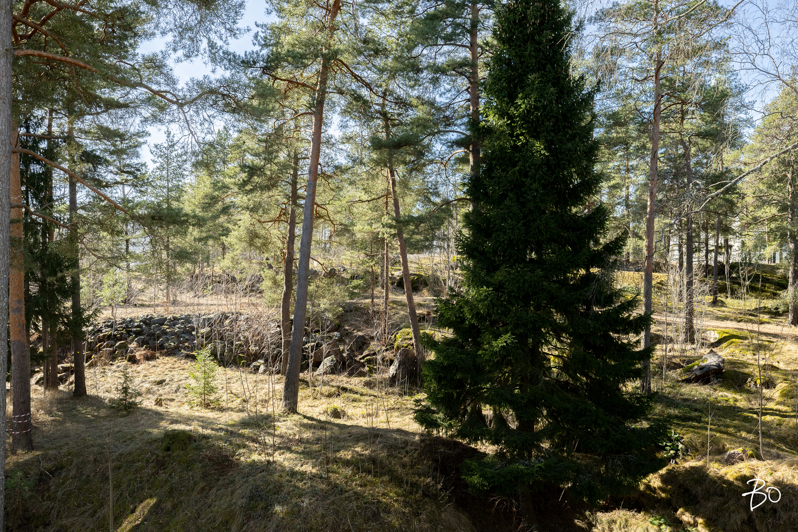 Kaupinkalliontie 3 - kuva 14