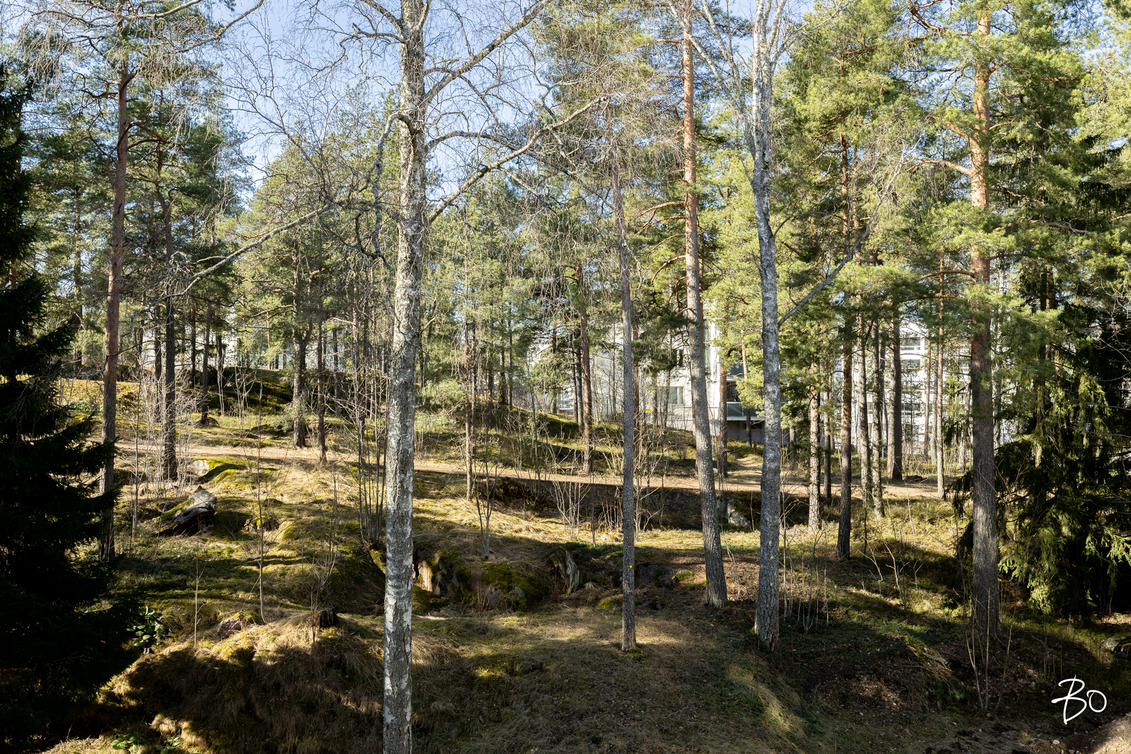 Kaupinkalliontie 3 - kuva 13