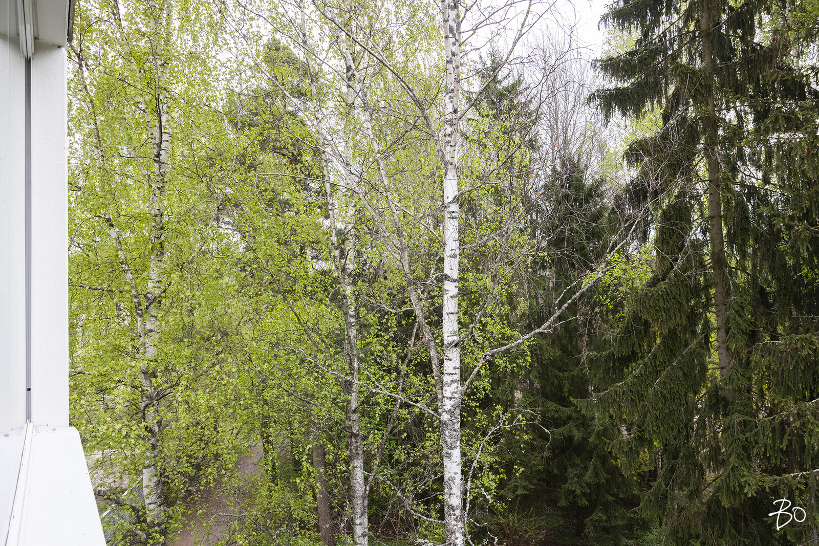 Ankkuritie 5 - bild 18
