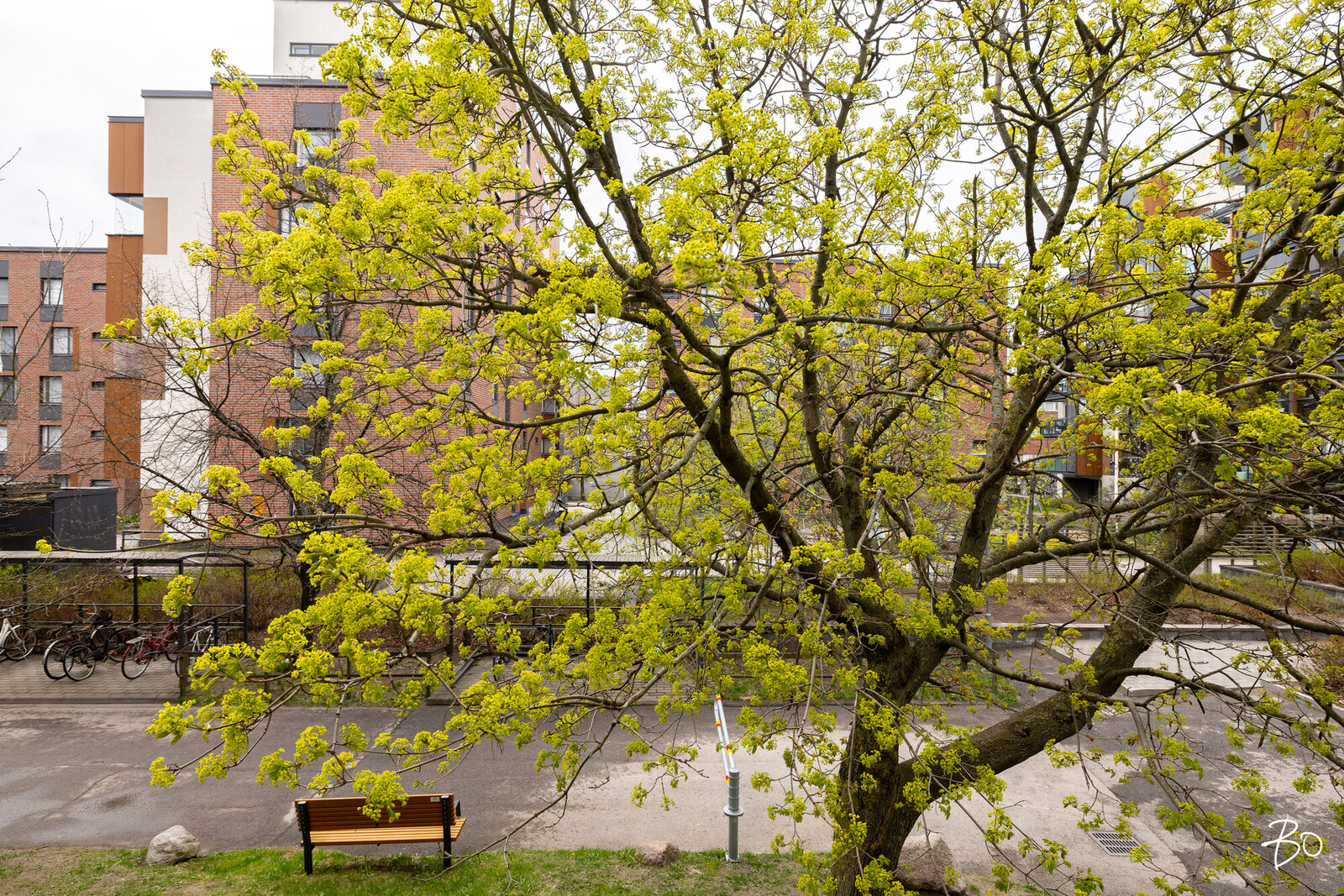 Vattuniemenkatu 18 - kuva 14