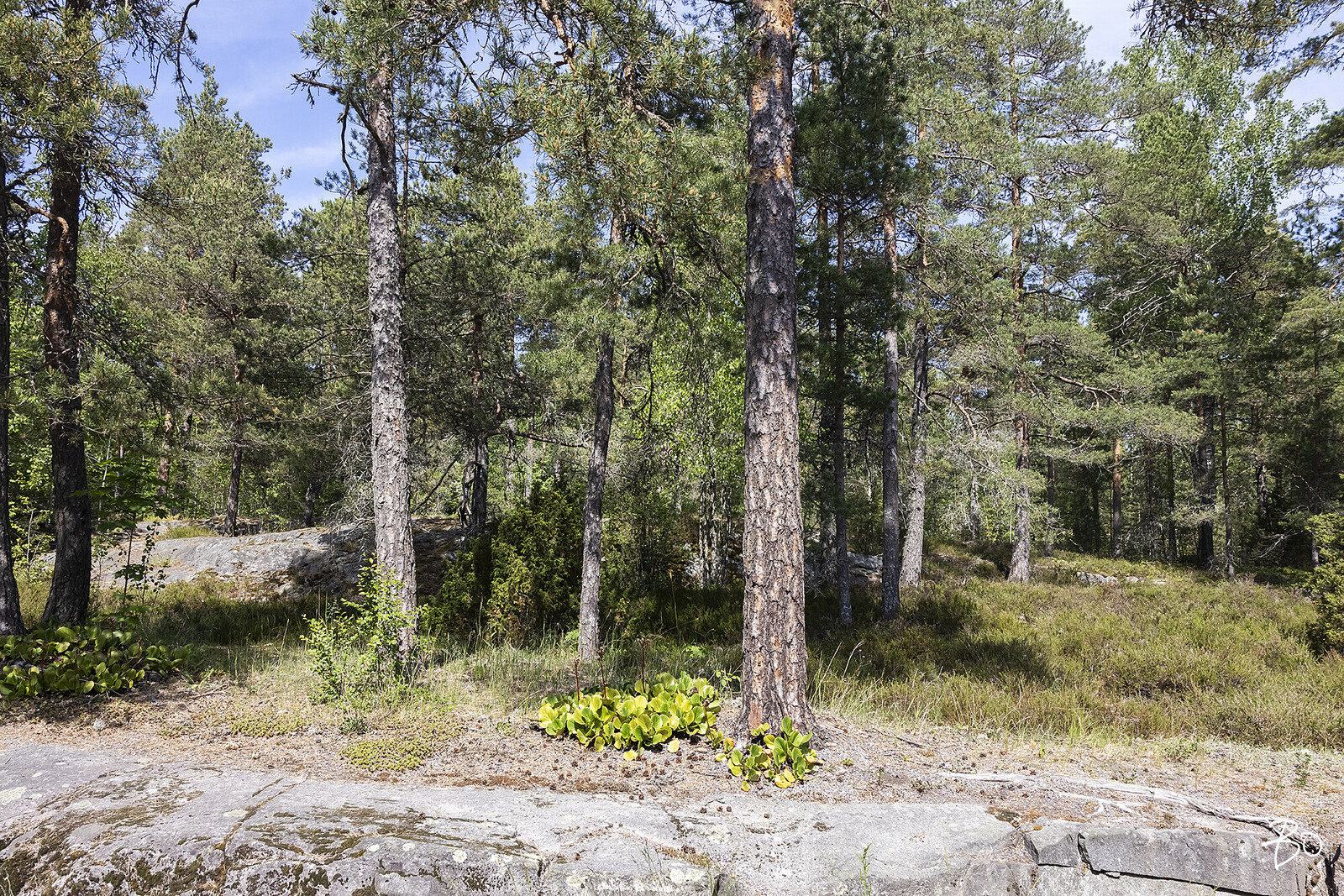 Suurkirkonkuja 6 - kuva 19