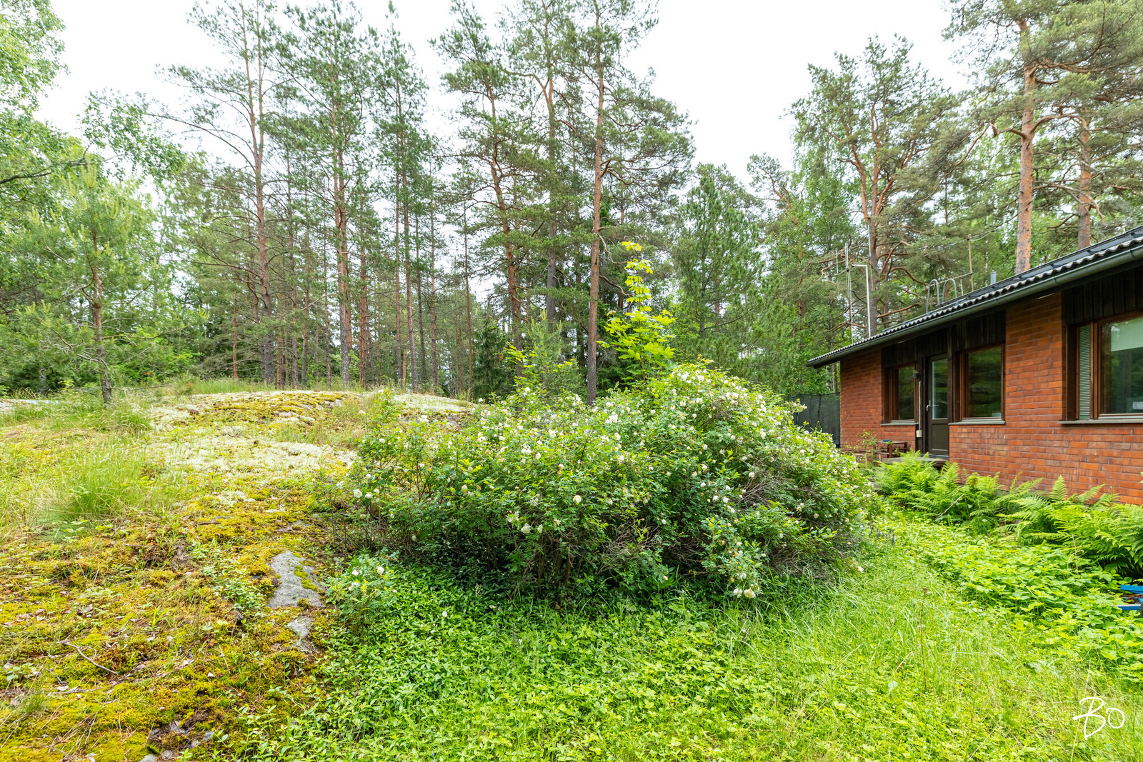 Knuutinlaakso 15 - kuva 29