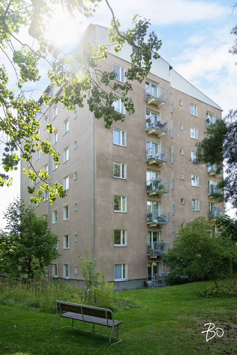 Kettutie 4 - kuva 20