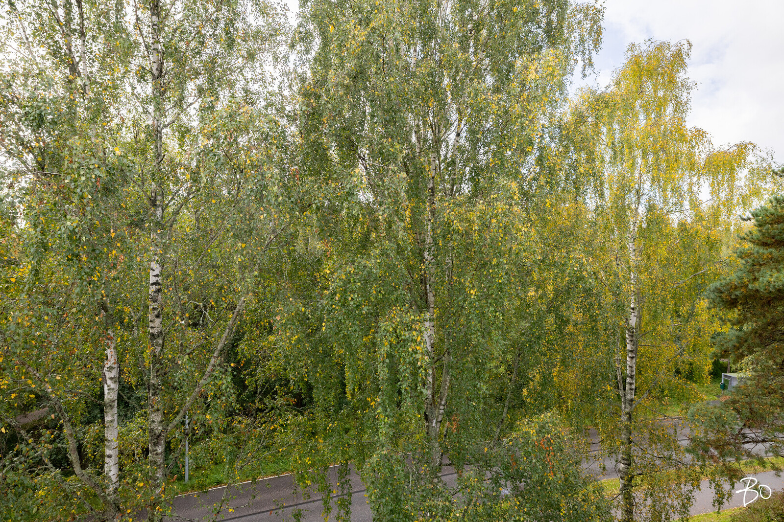 Haukilahdenranta 21 - kuva 16