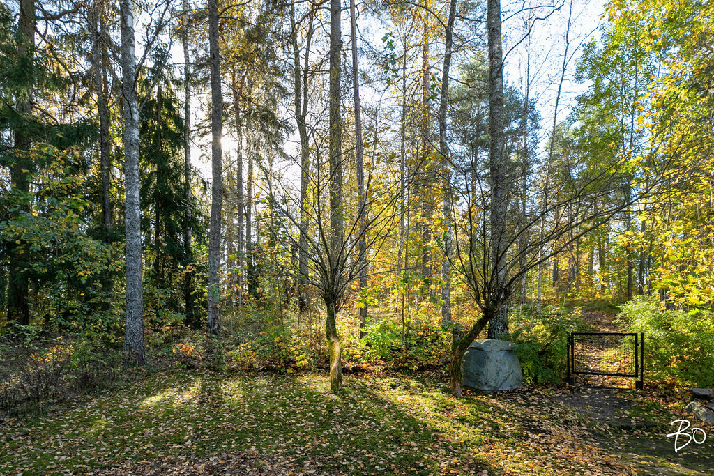 Visakoivuntie 23 B - kuva 7