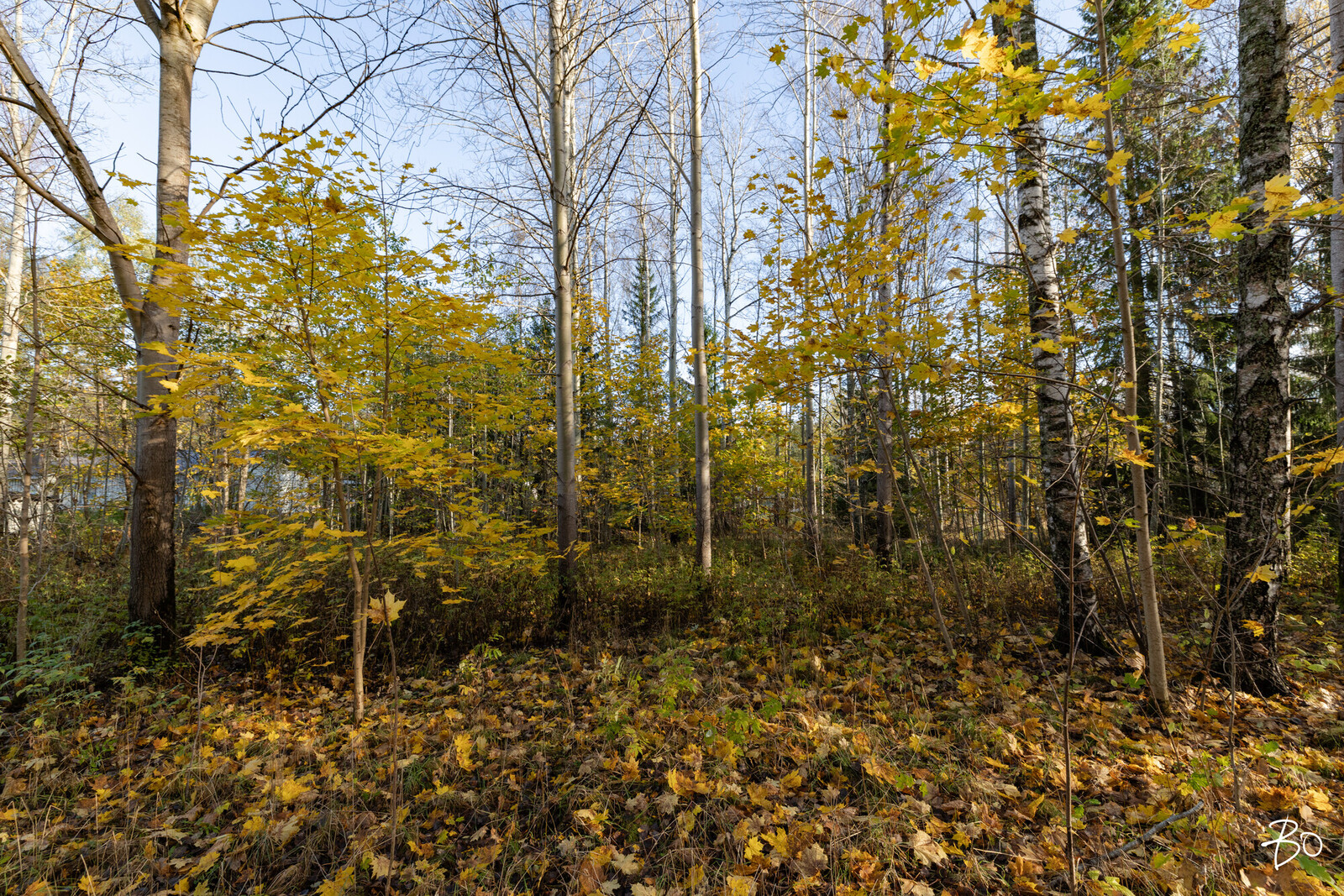 Siuntiontie 447 - image 5